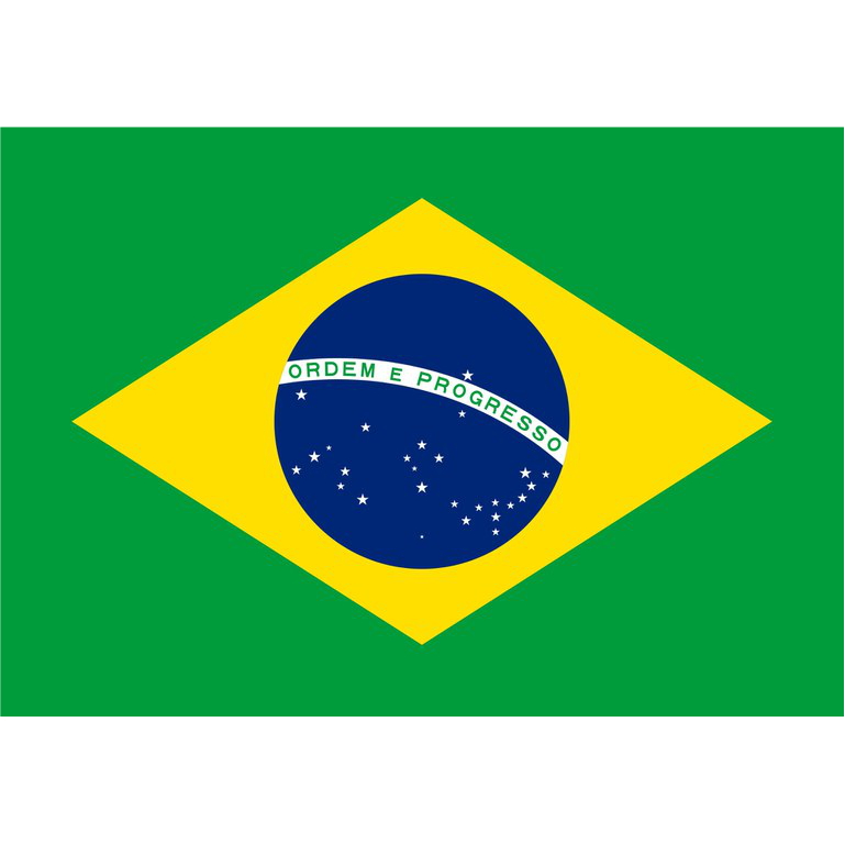 PT-BR
